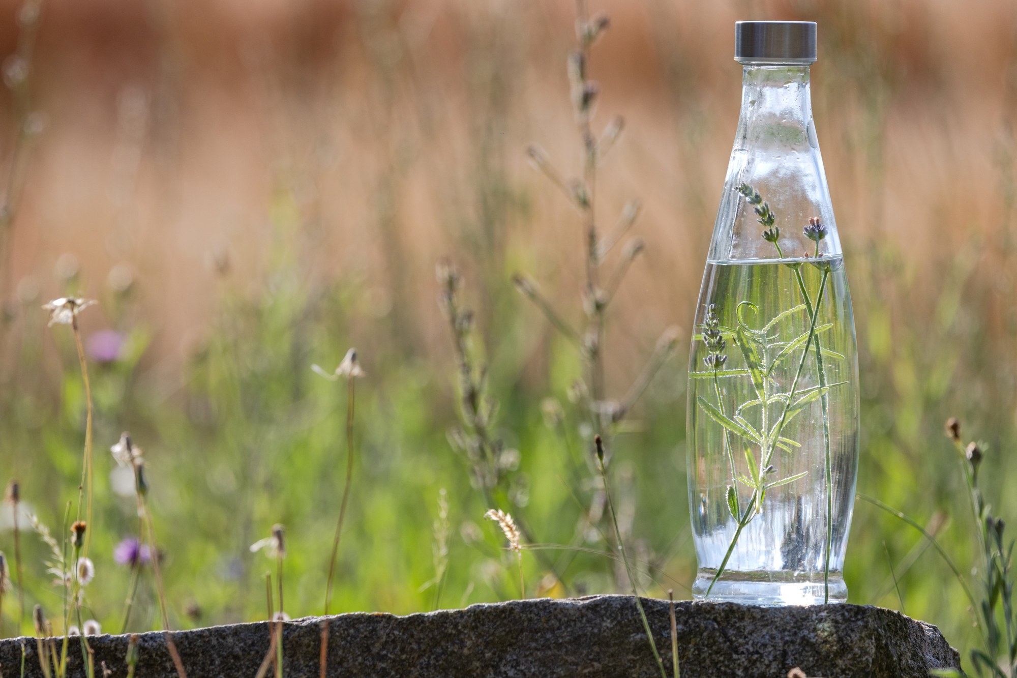 Plant-Based-Plastics Plant-Based-Plastics