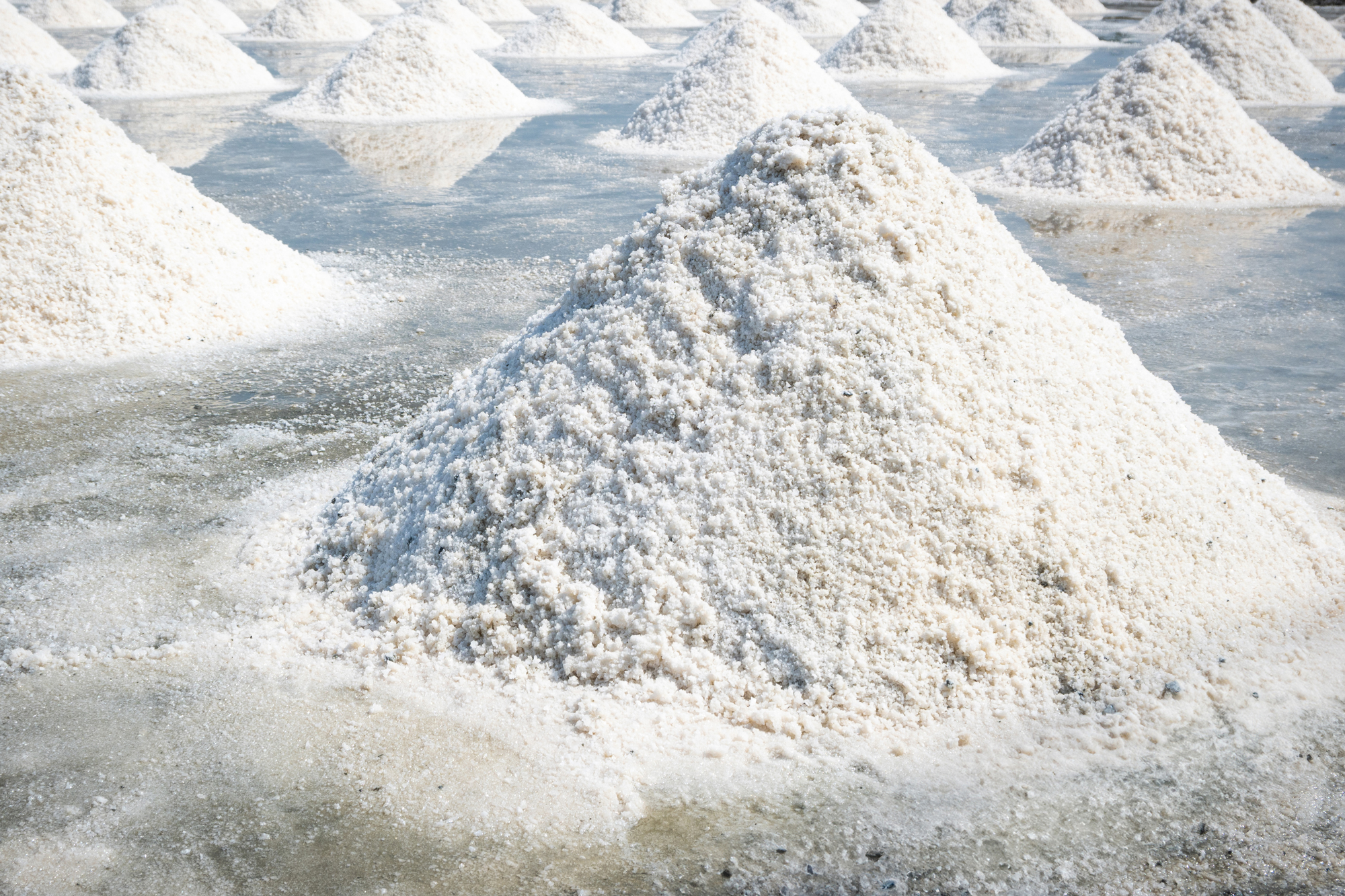 Sea-Salt Sea-Salt